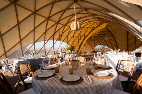 _1052180-Mejorado-NR